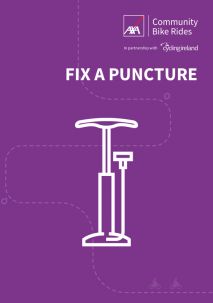 Fix a puncture
